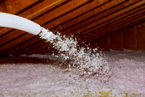 Best Energy Efficiency Solutions in Bawcomville, LA