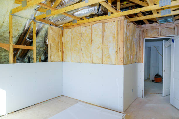 Best Types of Insulation in Bawcomville, LA