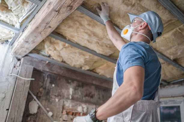 Best Insulation for Specific Applications in Bawcomville, LA